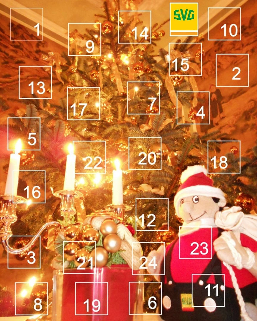 SVG Brummi Adventskalender 2021